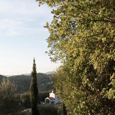 B&B La Fustaia Sarzana Esterno foto